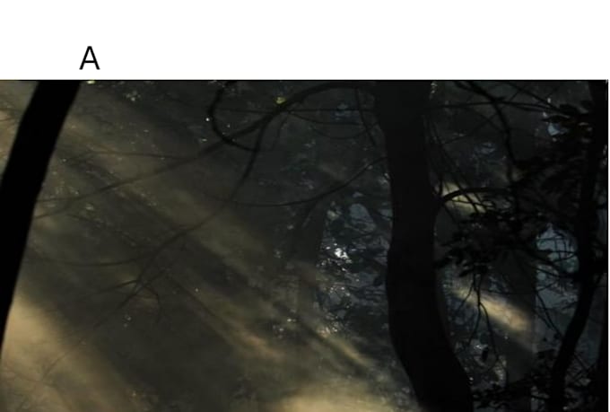 write ebook and story writing